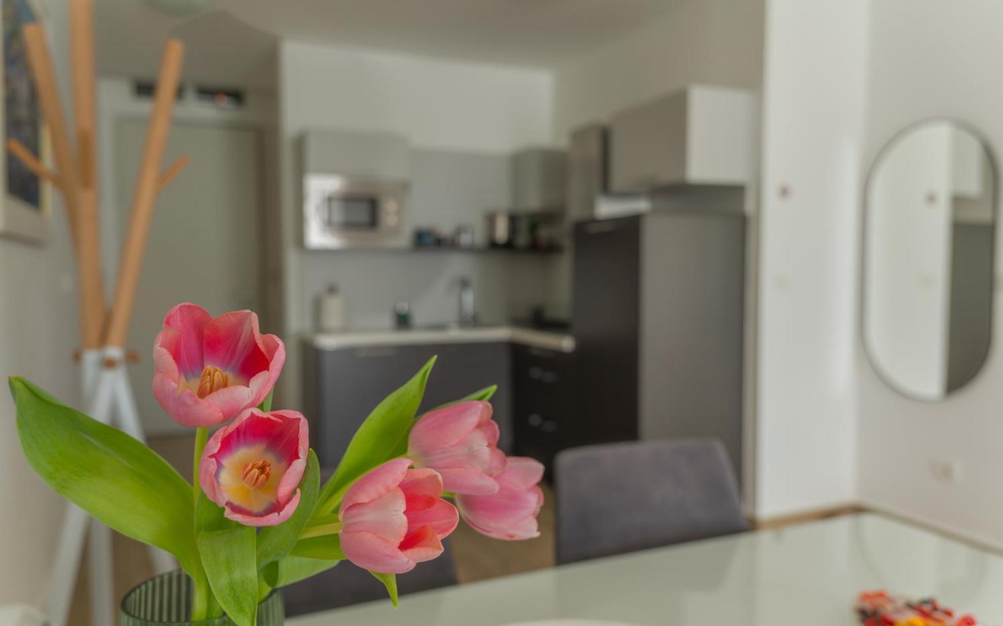 Apartment Amare Luxury *